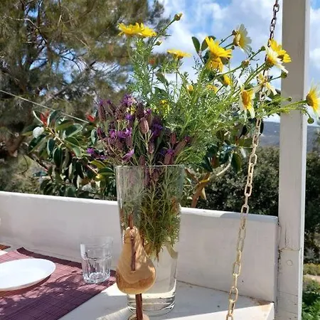 Yellow Lemon Tree House Holiday home