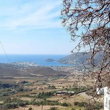 Yellow Lemon Tree House Andros Town
