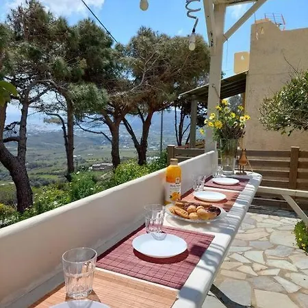 Yellow Lemon Tree House Holiday home