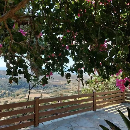 Yellow Lemon Tree House Holiday home *