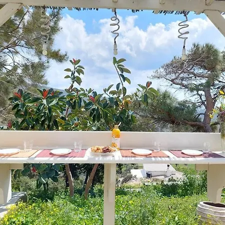 Yellow Lemon Tree House *